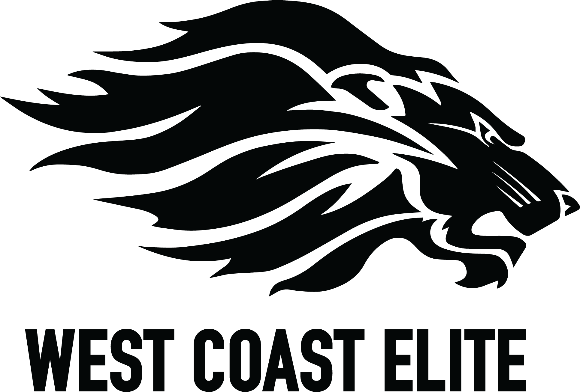 minnesota-events-west-coast-elite-basketball